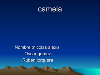 camela Nombre :nicolas alexis  Oscar gomez Ruben jorquera 