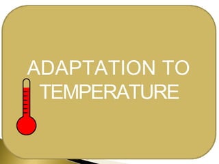 ADAPTATION TO
TEMPERATURE
 
