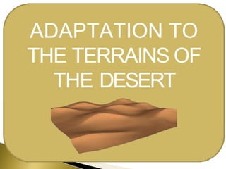 ADAPTATION TO
THE TERRAINS OF
THE DESERT
 