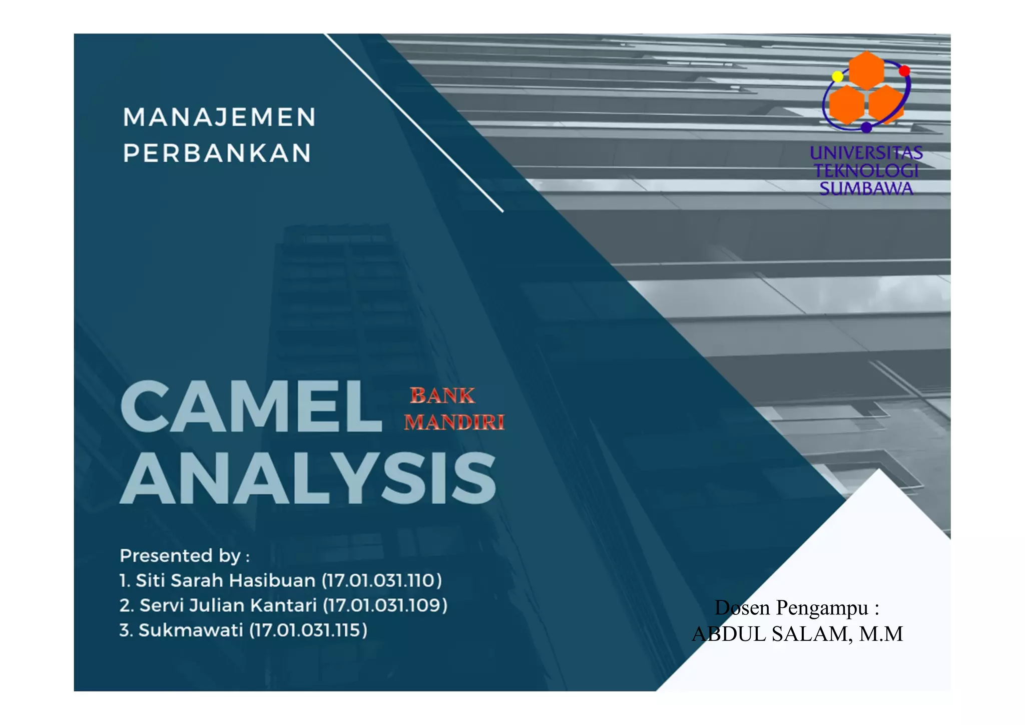 Camel analysis i | PDF
