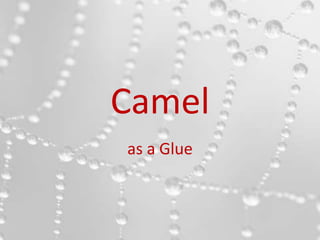 Camel
as a Glue
 