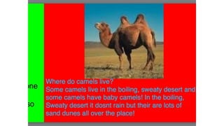 Camel book OS