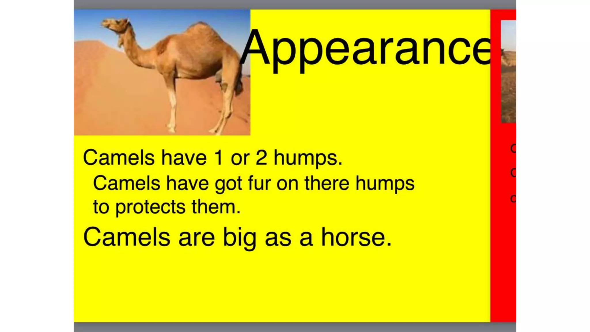 Camel book HL | PPT
