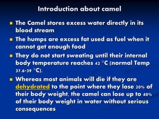 Camel diseases 2016 | PDF
