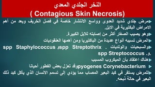 ‫المعدي‬ ‫الجلدي‬ ‫النخر‬
Contagious Skin Necrosis)
(

‫مرض‬
‫جلدي‬
‫شديد‬
‫العدوى‬
‫وواسع‬
‫االنتشار‬
‫خاصة‬
‫في‬
‫فصل‬
...