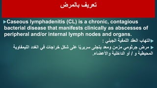 ‫بالمرض‬ ‫تعريف‬
Caseous lymphadenitis (CL) is a chronic, contagious
bacterial disease that manifests clinically as absce...