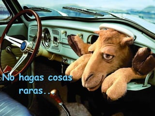 No hagas cosas raras...