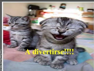 A divertirse!!!!