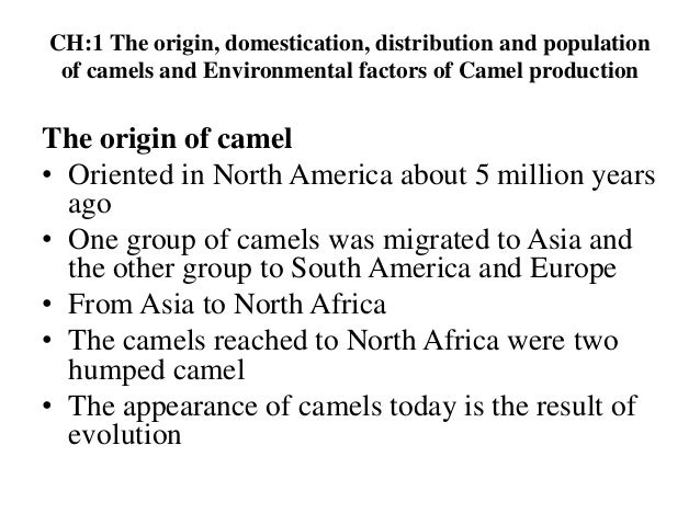 Camel Husbandry Last Version Docx