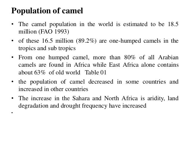 Camel Husbandry Last Version Docx