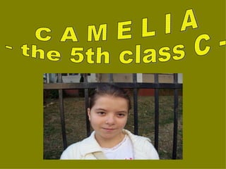 C A M E L I A - the 5th class C -  