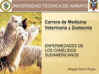 UNIVERSIDAD TECNICA DE AMBATO

Carrera de Medicina
Veterinaria y Zootecnia

ENFERMEDADES DE
LOS CAMÉLIDOS
SUDAMERICANOS

Abigail Soria Rojas

 