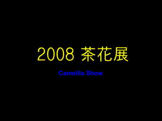 2008 茶花展 Camellia Show 
