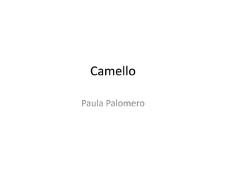 Camello
Paula Palomero
 