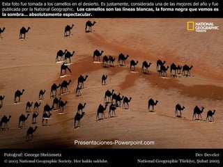 Esta foto fue tomada a los camellos en el desierto. Es justamente, considerada una de las mejores del año y fue publicada por la National Geographic.   Los camellos son las líneas blancas, la forma negra que vemos es la sombra... absolutamente espectacular.   Presentaciones -Powerpoint.com 