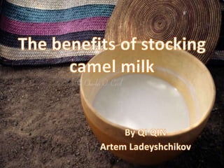 The benefits of stocking camel milk By QI QIN  Artem Ladeyshchikov   
