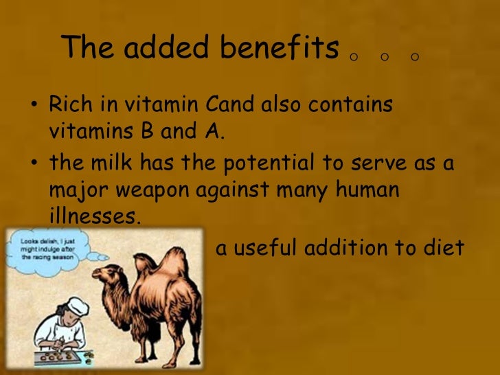 Camel Milk