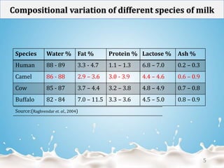 Camel milk | PPT