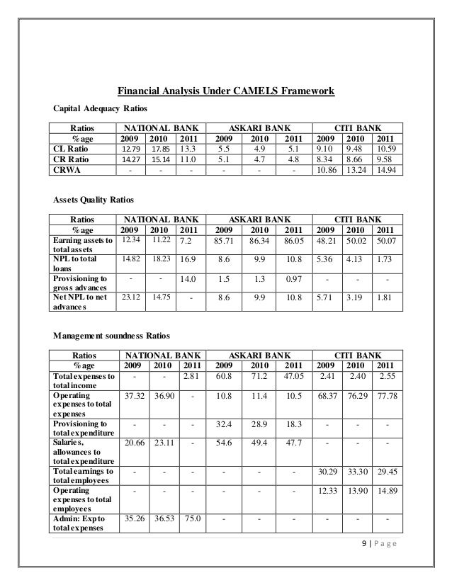 camel model agco financial statements