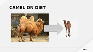 CAMEL ON DIET
 