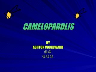 CAMELOPARDLIS BY ASHTON WOODWARD                