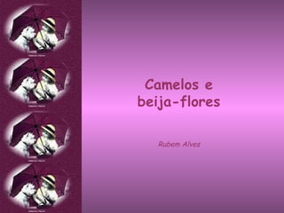 Camelos e beija-flores Rubem Alves 