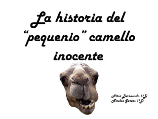 La historia del
“pequenio” camello
inocente
Aitor Berraondo 1ºD
Nicolás Gervas 1ºD
 