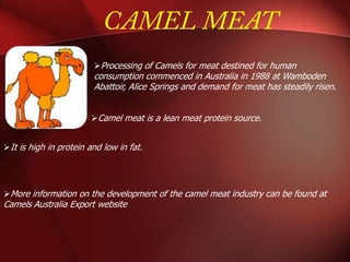 Camel Processing Camel presentation | PPTX
