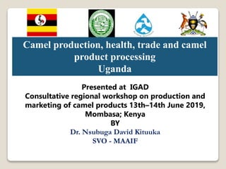 Camel production, health, trade and camel
product processing
Uganda
Presented at IGAD
Consultative regional workshop on production and
marketing of camel products 13th–14th June 2019,
Mombasa; Kenya
BY
Dr. Nsubuga David Kituuka
SVO - MAAIF
 
