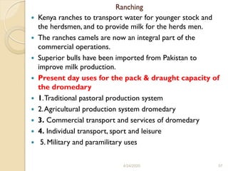Camel production part for DVM Stu (1).pdf