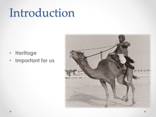 Camel Racing History Book Camel racing | PPTX