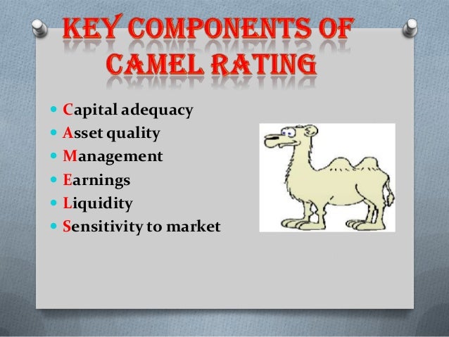 Camel rating