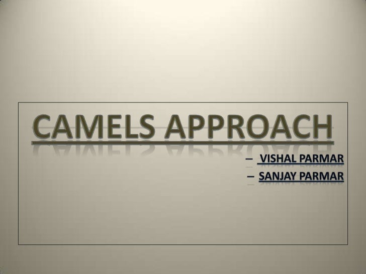 camels approach current financial year for income tax