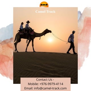 Contact Us -
Mobile: +976-9979-4114
Email: info@camel-track.com
 