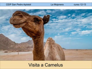 Visita a Camelus
CEIP San Pedro Apóstol La Mojonera curso 12-13
 
