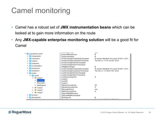 35© 2018 Rogue Wave Software, Inc. All Rights Reserved. 35
Camel monitoring
• Camel has a robust set of JMX instrumentation beans which can be
looked at to gain more information on the route
• Any JMX-capable enterprise monitoring solution will be a good fit for
Camel
 