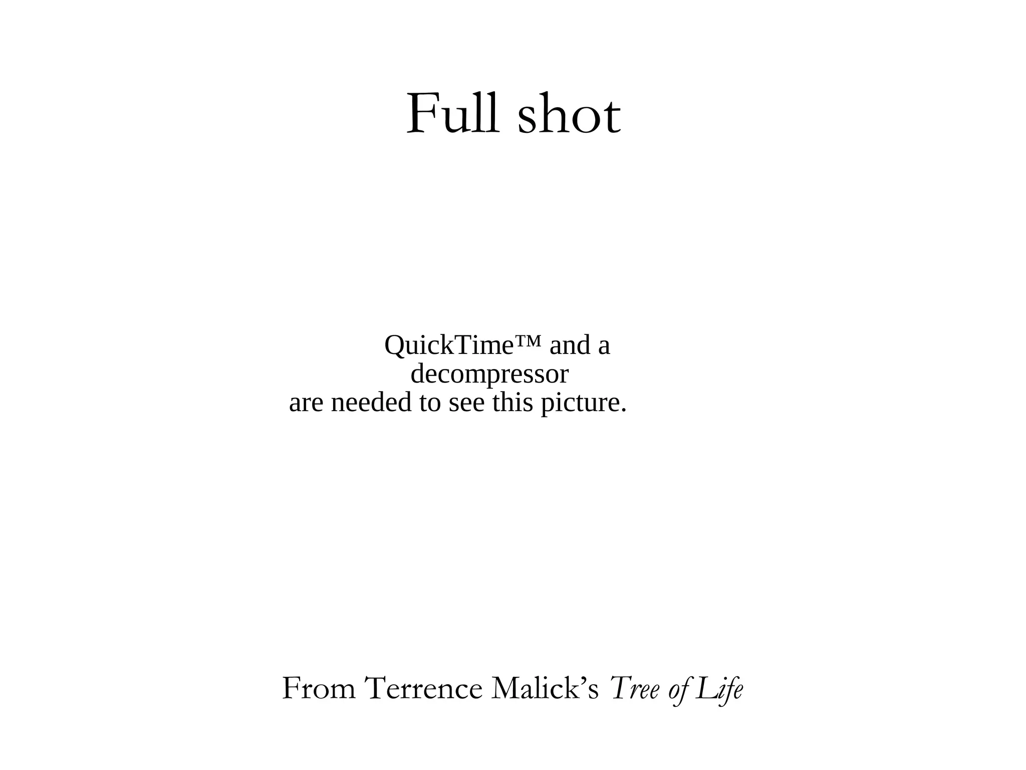 Full shot


        QuickTime™ and a
          decompressor
are needed to see this picture.




From Terrence Malick’s Tree of Life
 