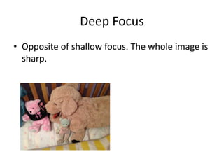 Deep Focus
• Opposite of shallow focus. The whole image is
  sharp.
 