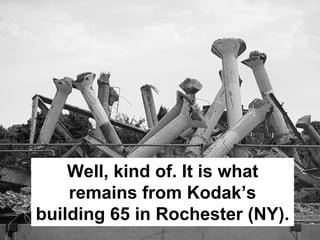 Disruptive Innovation and the Camera Industry