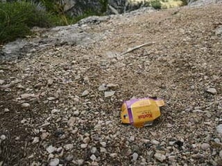 Disruptive Innovation and the Camera Industry