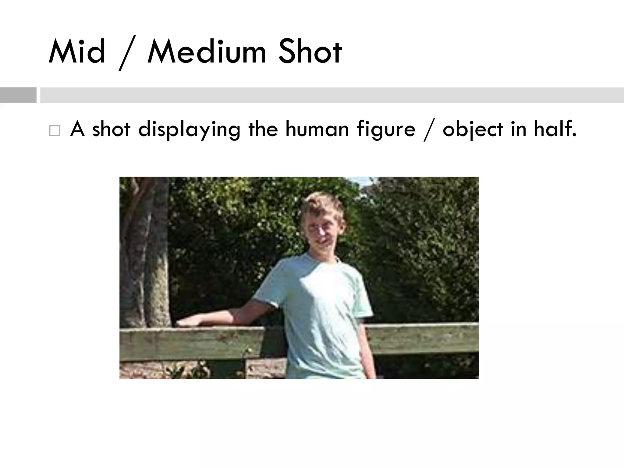 Mid / Medium Shot
 A shot displaying the human figure / object in half.
 