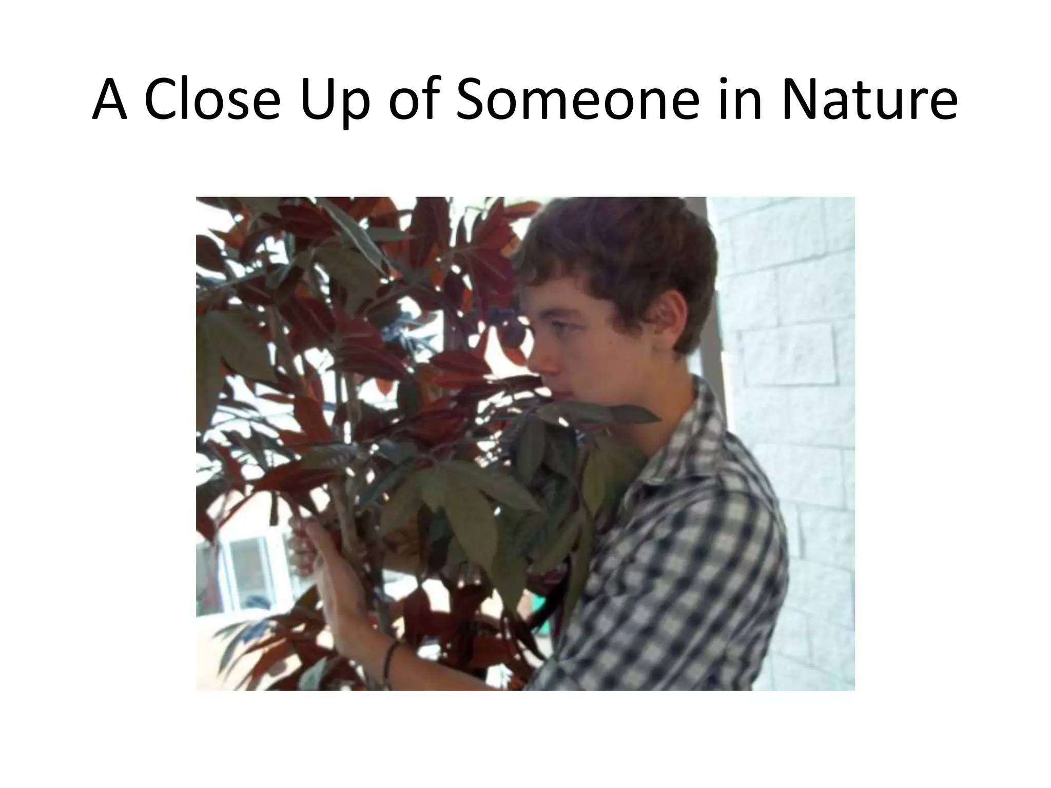 A Close Up of Someone in Nature