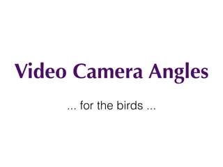 Camera Angles
... for the birds ...
 