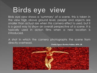 Birds eye view shows a ‘summary’ of a scene, this is taken in
the view high above ground level, people and objects are
smaller than actual size when this camera effect is used, but it
is a good way to show an overall perspective of a scene. It is
typically used in action films when a new location is
introduced.
A shot in which the camera photographs the scene from
directly overhead.
Cheldy Sgaco Elumba-Pableo, MPA; LlB
 