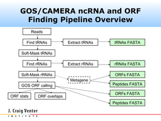GOS/CAMERA ncRNA and ORF
     Finding Pipeline Overview
            Reads

        Find tRNAs           Extract tRNAs   tRNAs FASTA

     Soft-Mask tRNAs

        Find rRNAs           Extract rRNAs   rRNAs FASTA

     Soft-Mask rRNAs                          ORFs FASTA
                              Metagene
     GOS ORF calling                         Peptides FASTA

                                              ORFs FASTA
ORF stats     ORF overlaps
                                             Peptides FASTA
 