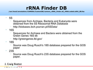 rRNA Finder DB
  /usr/local/annotation/CAMERA/CustomDB/camera_rRNA_finder.all_rRNA.coded.cdhit_80.fsa



 5S
    Sequences from Archaea, Bacteria and Eukaryota were
     obtained from the 5S Ribosomal RNA Database
    http://biobases.ibch.poznan.pl/5SData/
 16S
    Sequences for Archaea and Bactera were obtained from the
     Green Genes 16S db
    http://greengenes.lbl.gov/
 18S
    Source was Doug Rusch's 18S database prepared for the GOS
     paper
 23S
    Source was Doug Rusch's 23S database prepared for the GOS
     paper.
 