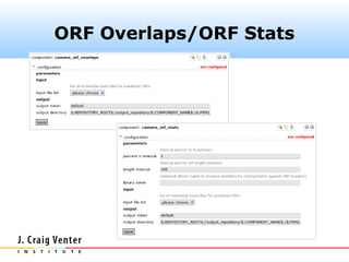 ORF Overlaps/ORF Stats
 