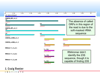 The absence of called
   ORFs in this region of
   the read is due to the
     soft-masked rRNA
          sequence




  RNAmmer didn’t
   identify the 23S
sequence, though it is
capable of finding 23S
 