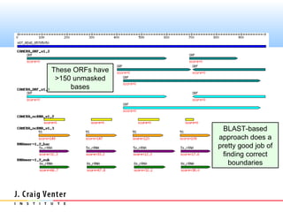 These ORFs have
 >150 unmasked
     bases




                    BLAST-based
                  approach does a
                  pretty good job of
                    finding correct
                      boundaries
 