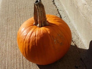 Camera assignment #4